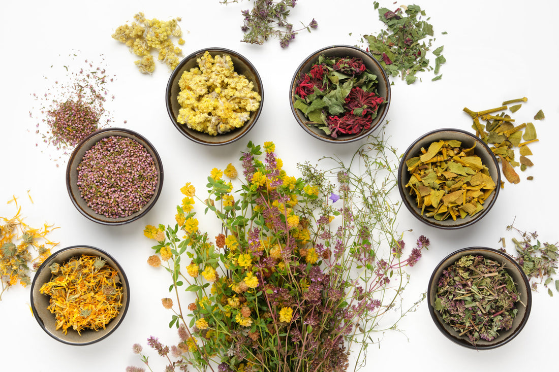 Benefits Of Growing Herbs