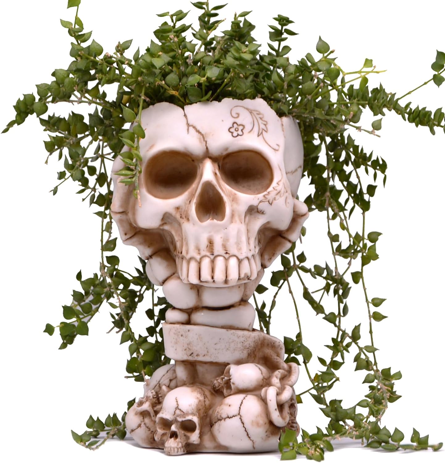 Head Face Planter Pot | Skull Goth Halloween | 2 Styles