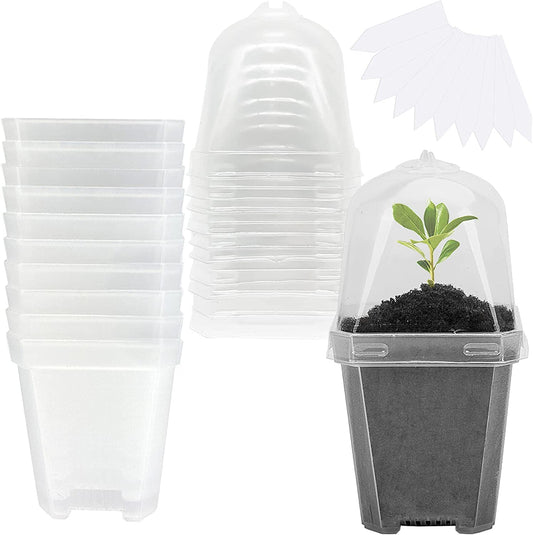 Clear Nursery Pots With Humidity Dome | 2 Sizes