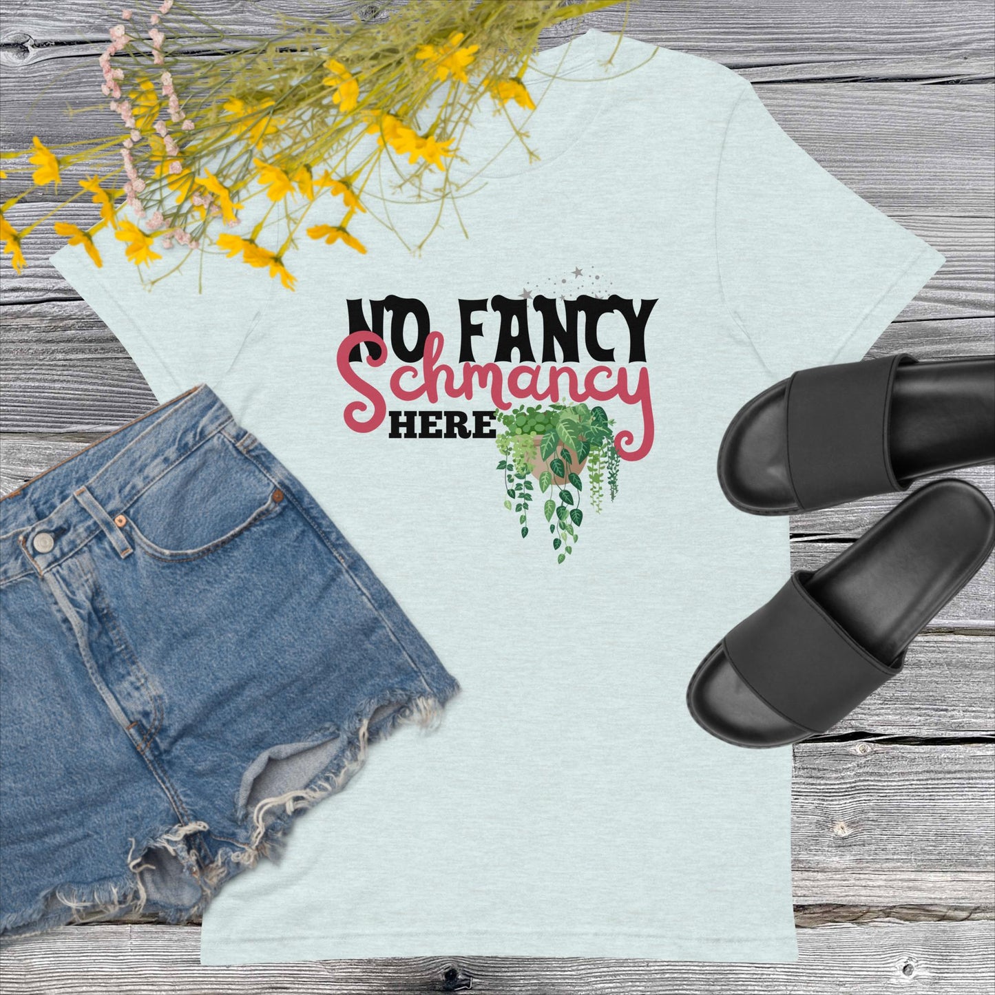 No Fancy Schmancy T-Shirt