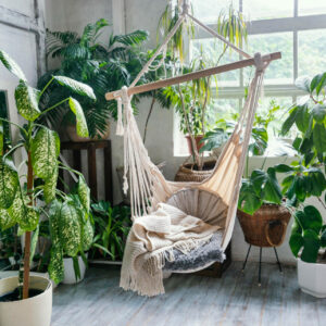 Five Air Purifying Plants For Your Home